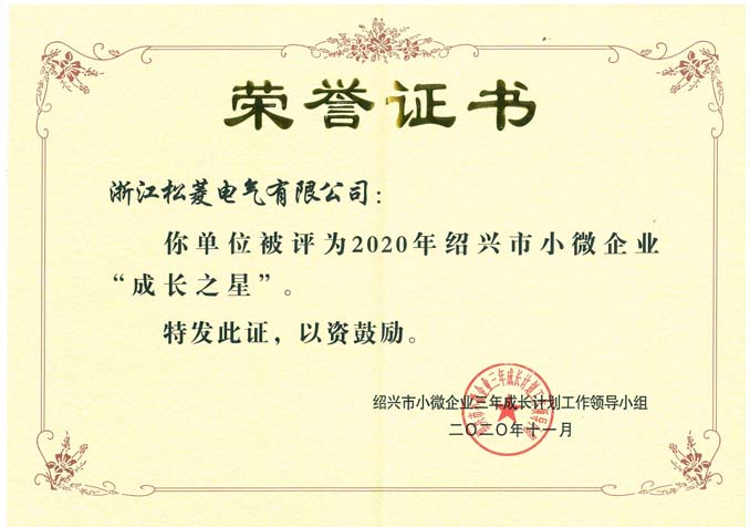 绍兴市小微企业成长之星